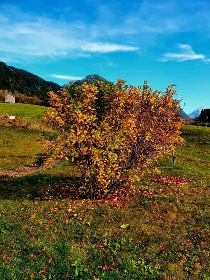 Loretz Liane Sankt Gallenkirch Exteriör bild